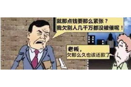 滨海新区债务清欠服务